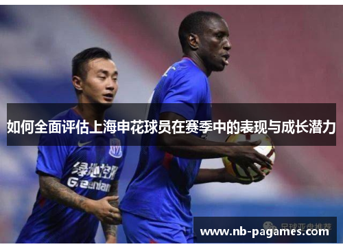 如何全面评估上海申花球员在赛季中的表现与成长潜力