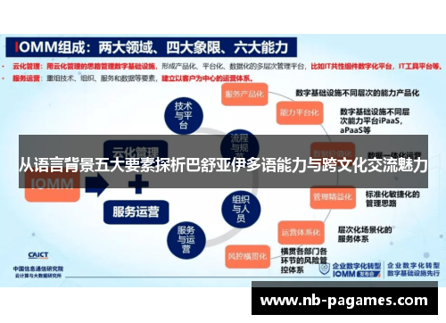 从语言背景五大要素探析巴舒亚伊多语能力与跨文化交流魅力 从语言背景五大要素探析巴舒亚伊多语能力与跨文化交流魅力