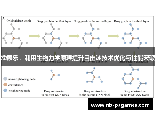 潘展乐：利用生物力学原理提升自由泳技术优化与性能突破