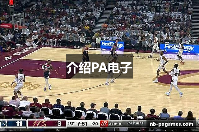 介绍PA电子